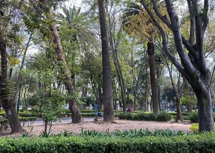 Park Narvarte Mexico City